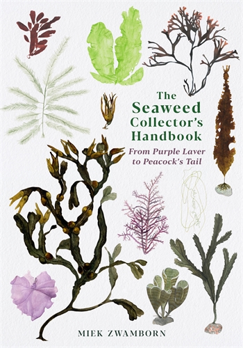 Michele Hutchison, Miek Zwamborn: Seaweed Collector's Handbook (Paperback, 2020, Profile Books Limited)