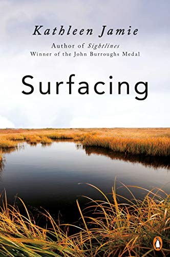 Surfacing (Paperback, 2019, Penguin Books)