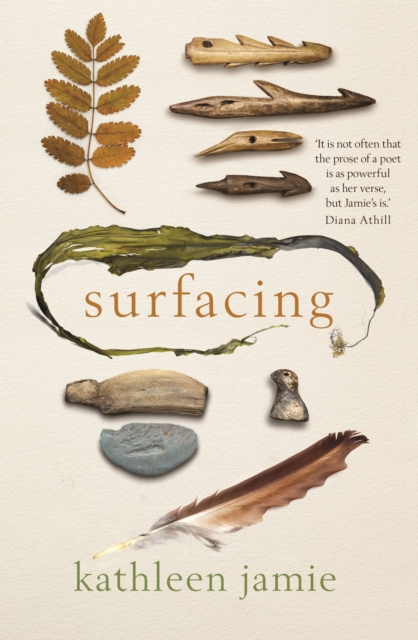 Surfacing (Hardcover, 2019, Sort of Books)