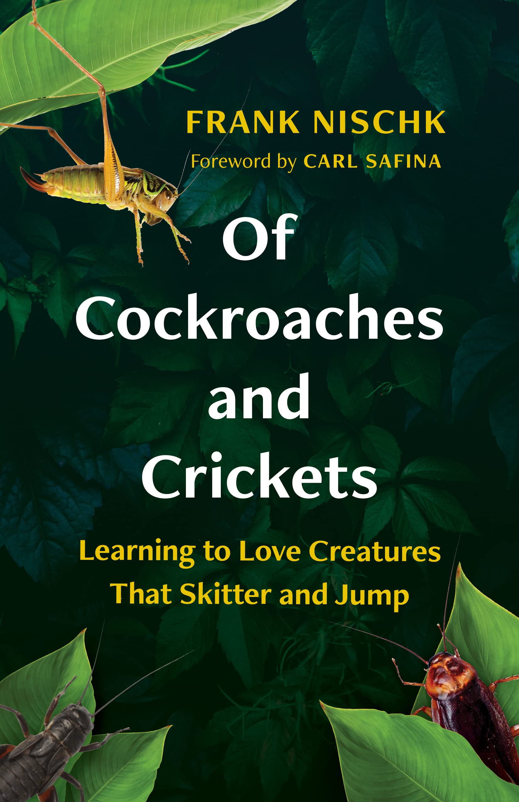 Frank Nischk, Jane Billinghurst, Carl Safina: Of Cockroaches and Crickets (2022, Greystone Books Ltd.)