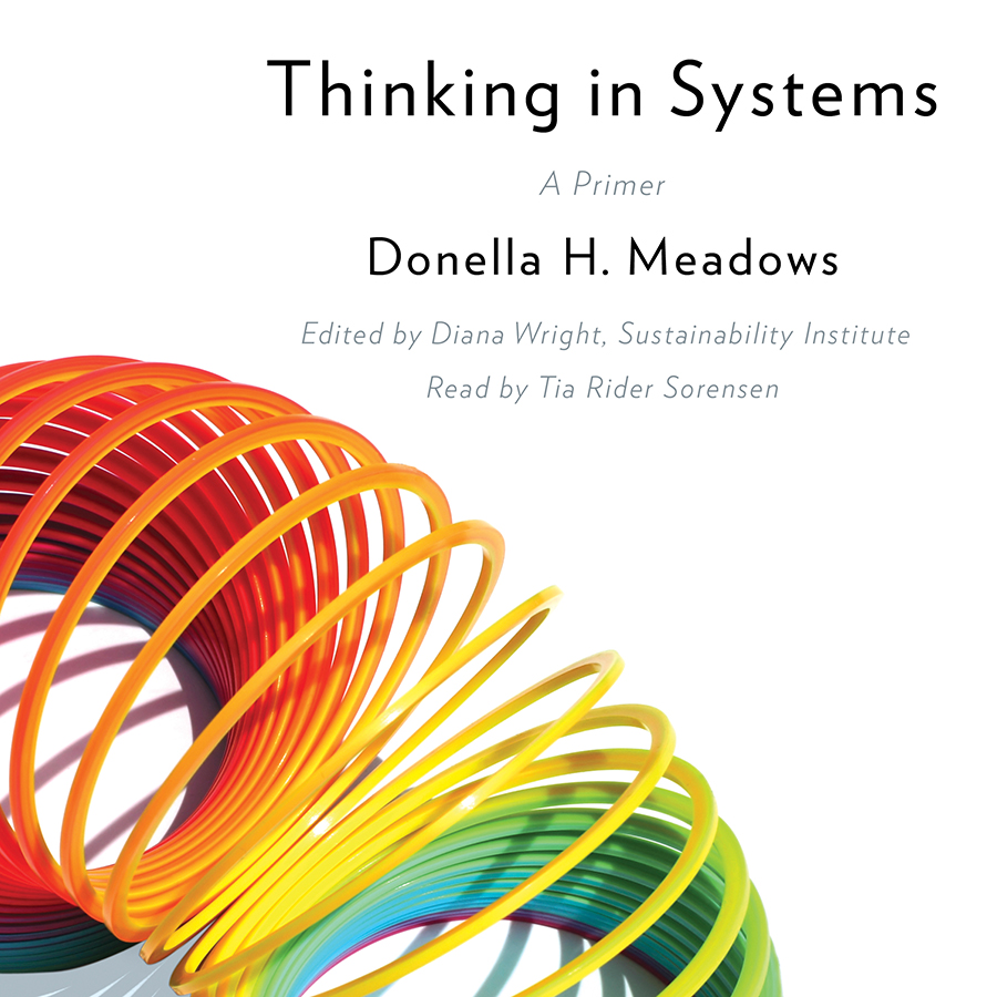 Donella H. Meadows, Diana Wright: Thinking in systems (AudiobookFormat, 2018)